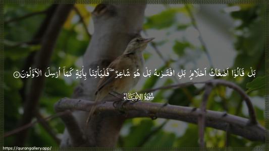 Al-Anbiyaa Ayah 5 - Arabic (Wide) wallpaper