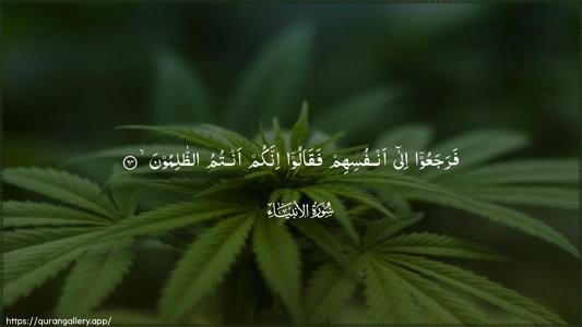 Al-Anbiyaa Ayah 64 - Arabic (Wide) wallpaper