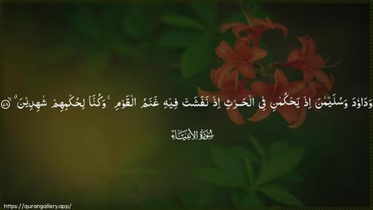 Al-Anbiyaa Ayah 78 - Arabic (Wide) wallpaper