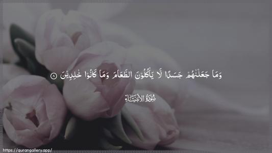 Al-Anbiyaa Ayah 8 - Arabic (Wide) wallpaper