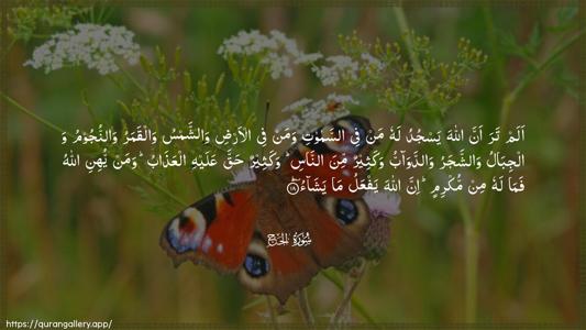 Al-Hajj Ayah 18 - Arabic (Wide) wallpaper