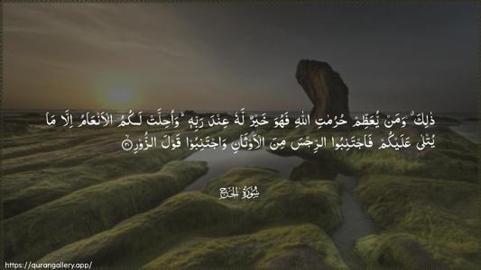 Al-Hajj Ayah 30 - Arabic (Wide) wallpaper