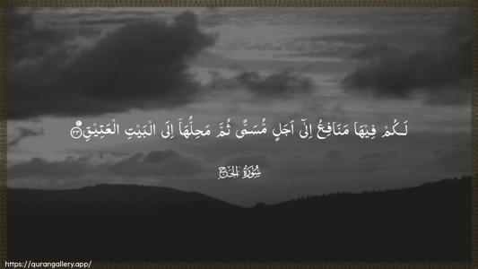 Al-Hajj Ayah 33 - Arabic (Wide) wallpaper