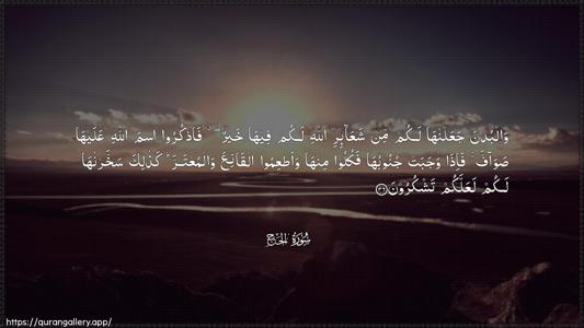 Al-Hajj Ayah 36 - Arabic (Wide) wallpaper