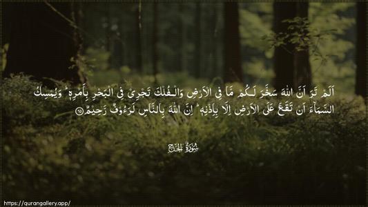 Al-Hajj Ayah 65 - Arabic (Wide) wallpaper