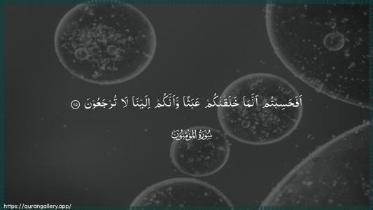 Al-Muminoon Ayah 115 - Arabic (Wide) wallpaper