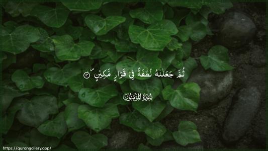 Al-Muminoon Ayah 13 - Arabic (Wide) wallpaper