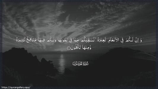 Al-Muminoon Ayah 21 - Arabic (Wide) wallpaper