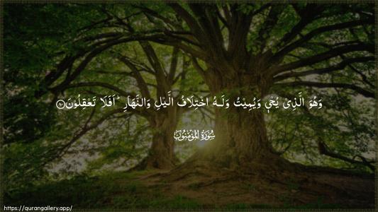 Al-Muminoon Ayah 80 - Arabic (Wide) wallpaper