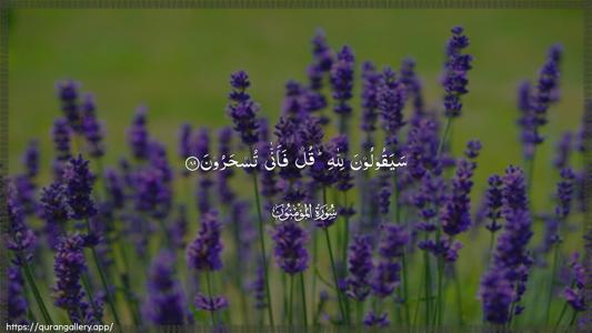 Al-Muminoon Ayah 89 - Arabic (Wide) wallpaper