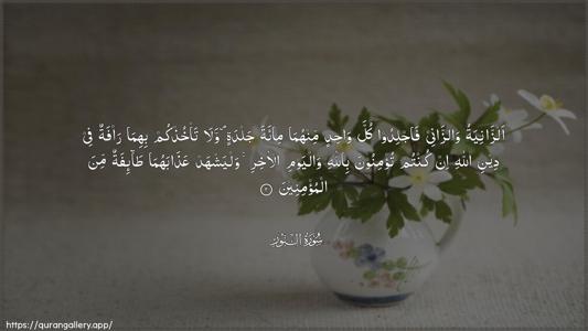 An-Noor Ayah 2 - Arabic (Wide) wallpaper