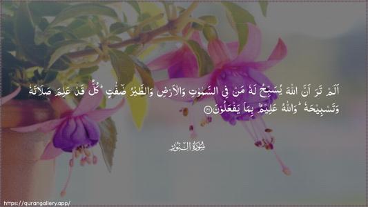 An-Noor Ayah 41 - Arabic (Wide) wallpaper