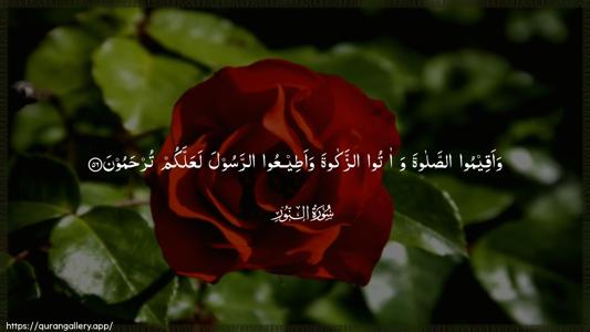 An-Noor Ayah 56 - Arabic (Wide) wallpaper