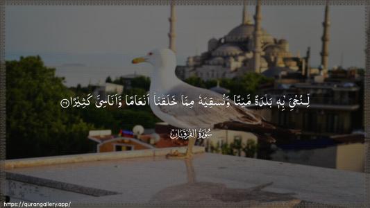 Al-Furqaan Ayah 49 - Arabic (Wide) wallpaper