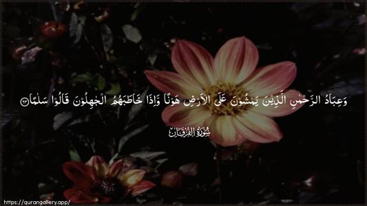 Al-Furqaan Ayah 63 - Arabic (Wide) wallpaper