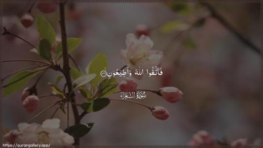 Ash-Shu"araa Ayah 126 - Arabic (Wide) wallpaper