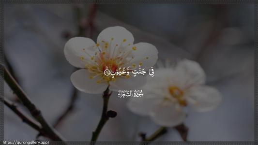 Ash-Shu"araa Ayah 147 - Arabic (Wide) wallpaper