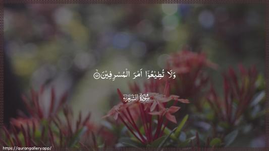 Ash-Shu"araa Ayah 151 - Arabic (Wide) wallpaper