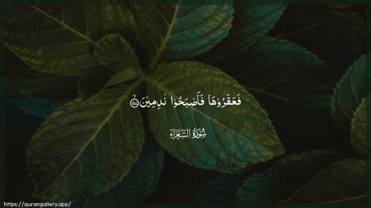 Ash-Shu"araa Ayah 157 - Arabic (Wide) wallpaper