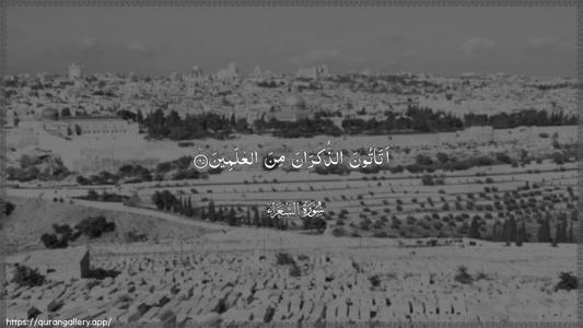 Ash-Shu"araa Ayah 165 - Arabic (Wide) wallpaper