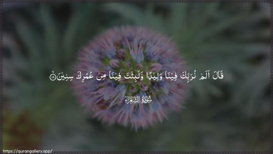 Ash-Shu"araa Ayah 18 - Arabic (Wide) wallpaper