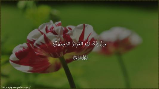 Ash-Shu"araa Ayah 191 - Arabic (Wide) wallpaper