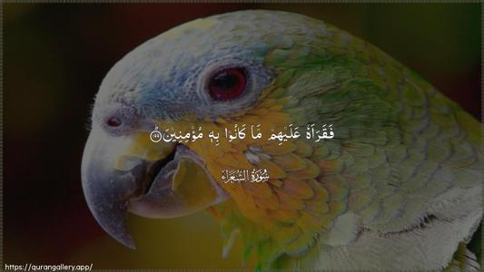 Ash-Shu"araa Ayah 199 - Arabic (Wide) wallpaper