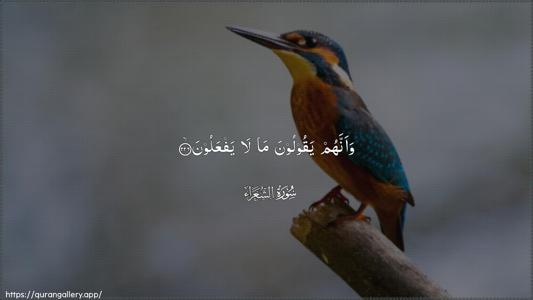 Ash-Shu"araa Ayah 226 - Arabic (Wide) wallpaper