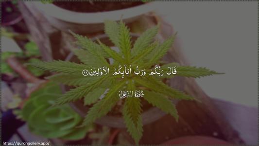 Ash-Shu"araa Ayah 26 - Arabic (Wide) wallpaper