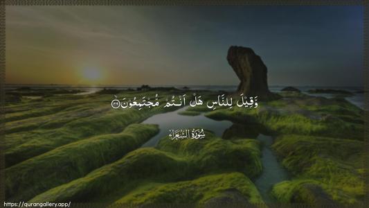 Ash-Shu"araa Ayah 39 - Arabic (Wide) wallpaper