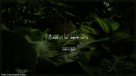 Ash-Shu"araa Ayah 69 - Arabic (Wide) wallpaper