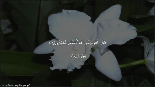 Ash-Shu"araa Ayah 75 - Arabic (Wide) wallpaper