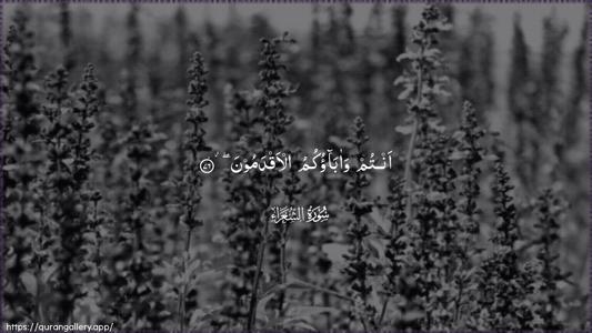 Ash-Shu"araa Ayah 76 - Arabic (Wide) wallpaper