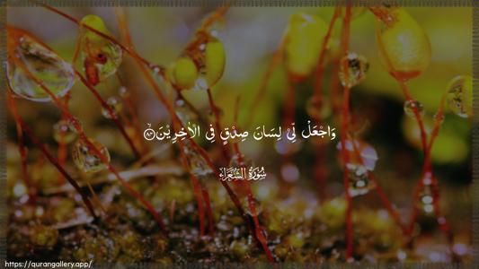Ash-Shu"araa Ayah 84 - Arabic (Wide) wallpaper