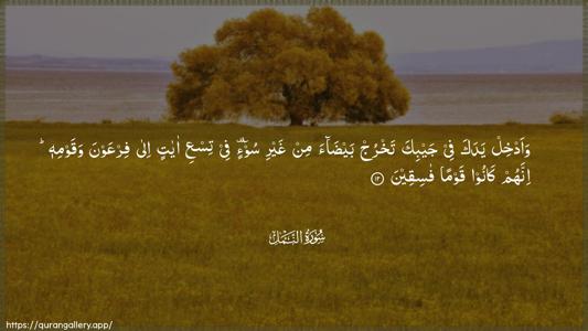 An-Naml Ayah 12 - Arabic (Wide) wallpaper