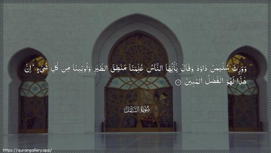 An-Naml Ayah 16 - Arabic (Wide) wallpaper