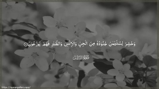 An-Naml Ayah 17 - Arabic (Wide) wallpaper
