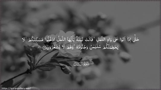An-Naml Ayah 18 - Arabic (Wide) wallpaper