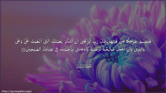 An-Naml Ayah 19 - Arabic (Wide) wallpaper