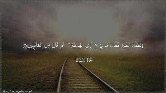 An-Naml Ayah 20 - Arabic (Wide) wallpaper