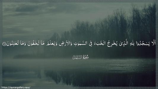 An-Naml Ayah 25 - Arabic (Wide) wallpaper