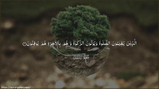 An-Naml Ayah 3 - Arabic (Wide) wallpaper