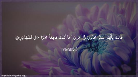 An-Naml Ayah 32 - Arabic (Wide) wallpaper