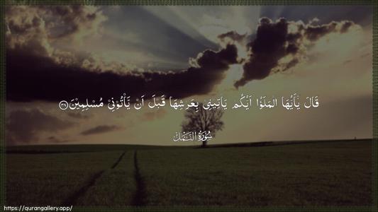 An-Naml Ayah 38 - Arabic (Wide) wallpaper