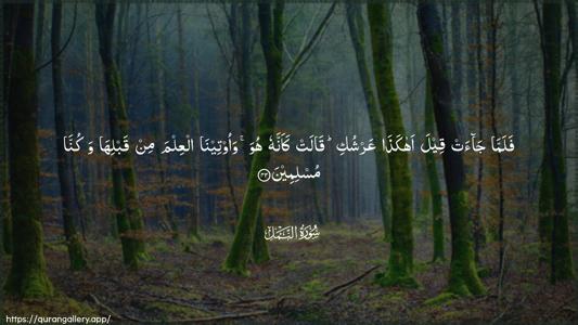 An-Naml Ayah 42 - Arabic (Wide) wallpaper