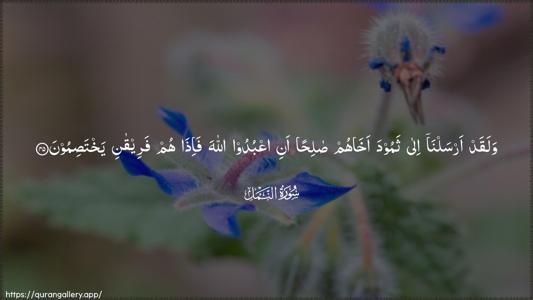 An-Naml Ayah 45 - Arabic (Wide) wallpaper
