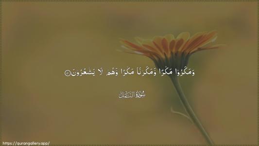 An-Naml Ayah 50 - Arabic (Wide) wallpaper