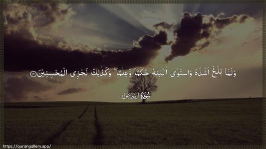 Al-Qasas Ayah 14 - Arabic (Wide) wallpaper