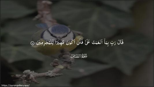 Al-Qasas Ayah 17 - Arabic (Wide) wallpaper