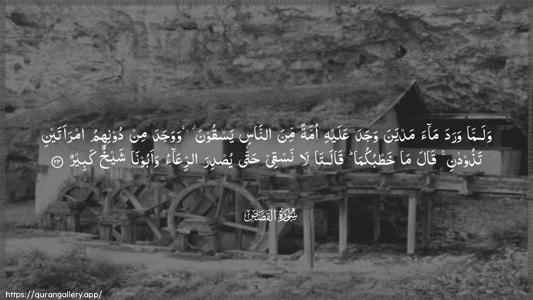 Al-Qasas Ayah 23 - Arabic (Wide) wallpaper